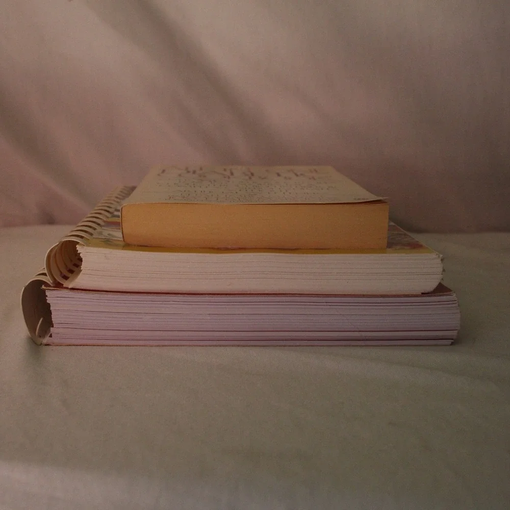 Diabetic Cookbook Lot:‎ All-in-One, Fix-It & Forget-It, Better Homes Recipes
